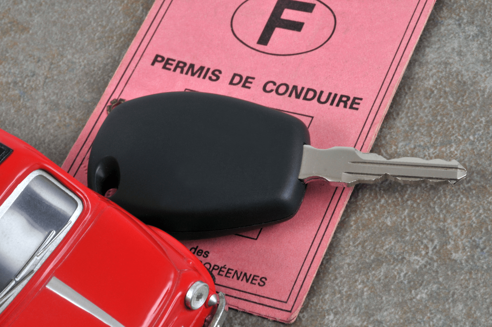 carte permis